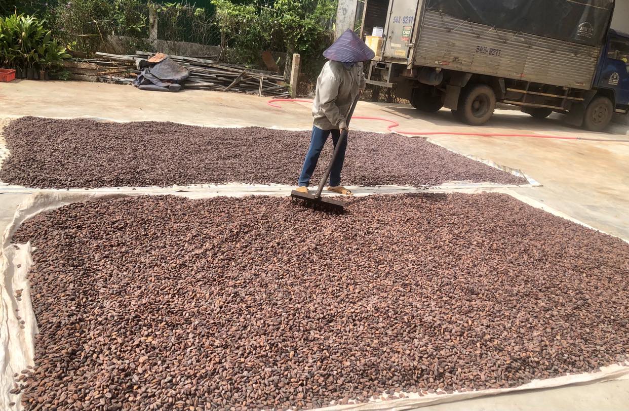 355913095_758315546039653_2075680210248587009_n