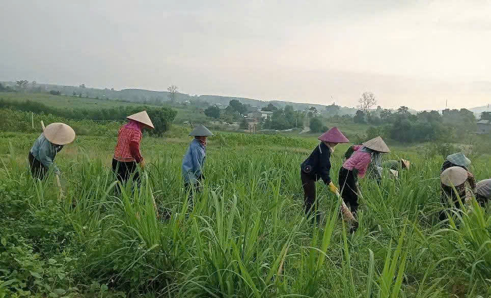 MÔ HÌNH “TỔ ĐỔI CÔNG NÔNG NGHIỆP” – LAN TỎA TINH THẦN ĐOÀN KẾT, TƯƠNG TRỢ GIÚP NHAU PHÁT TRIỂN KINH TẾ BỀN VỮNG