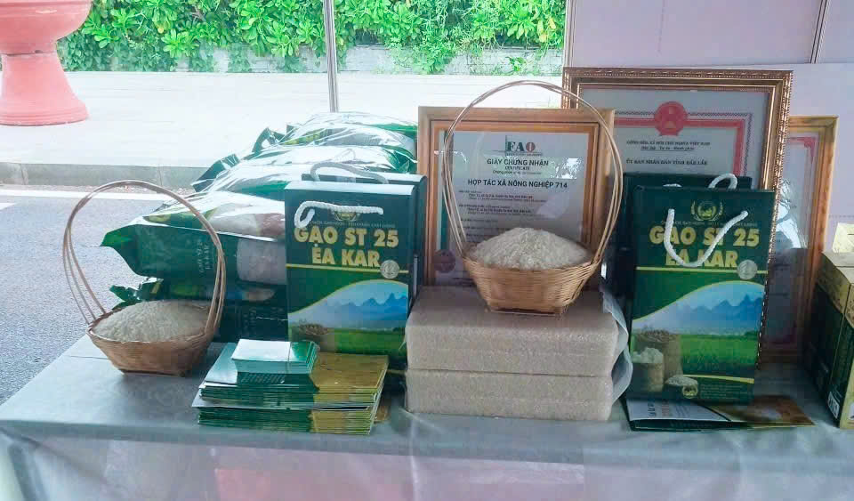HTX Nông nghiệp 714: Nâng tầm giá trị hạt gạo nhờ sản xuất đạt chuẩn VietGAP