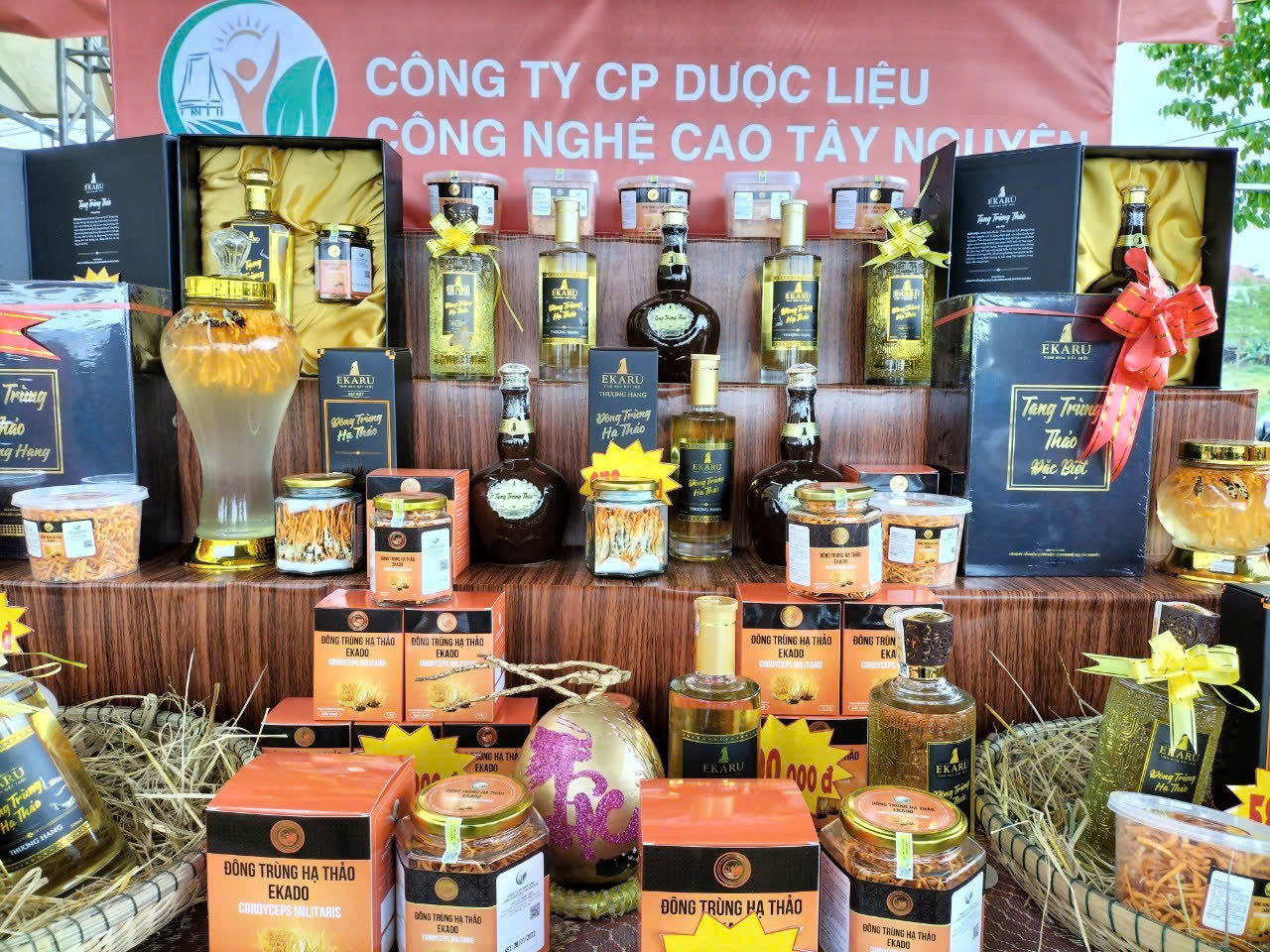 ocop1